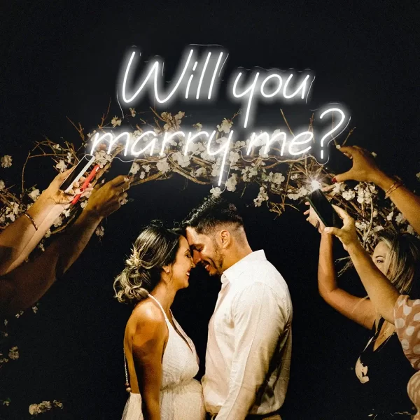 Will you marry me neon sign 
