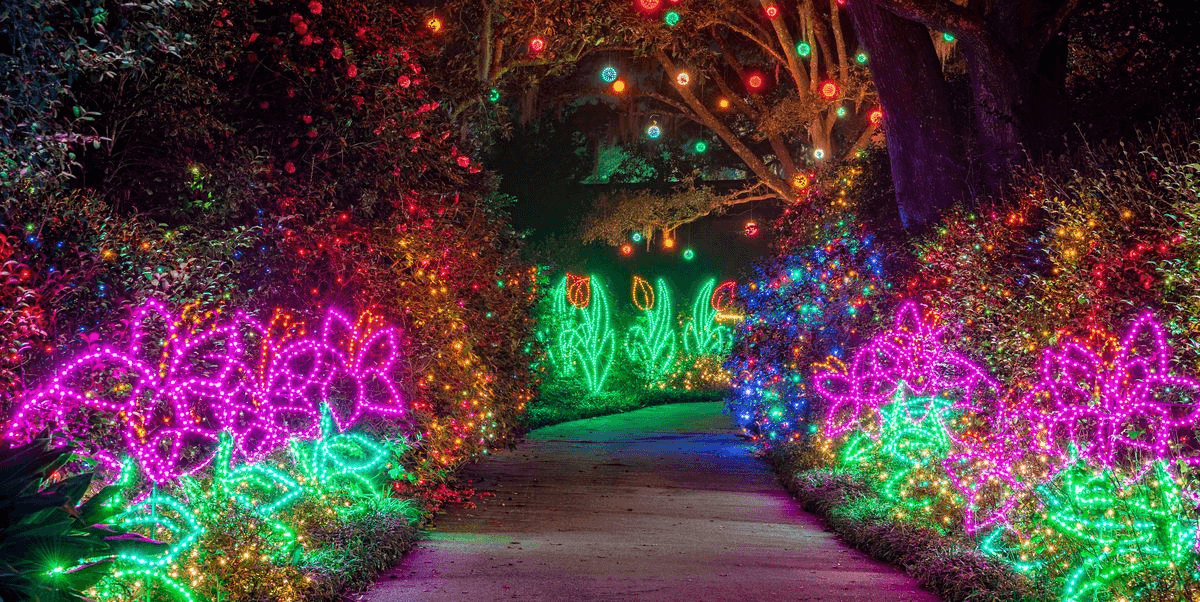 What City Has the Best Christmas Light Display?