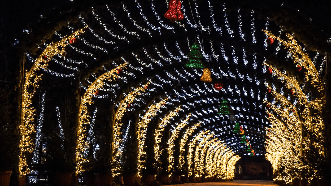 What Famous Street Has Christmas Light Displays in St Louis?