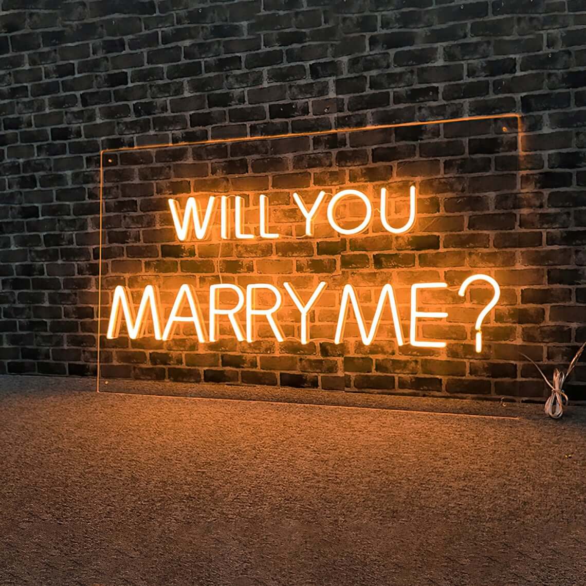 Will you marry me neon sign 