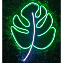 Monsteras Leaf Neon Sign Plant Flower Shop Decor