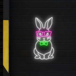 Cute Rabbit Neon Sign Bunny Wall Art Decor