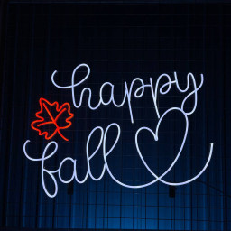 Happy Fall Neon Sign Autumn Thanksgiving Light Wall Decor