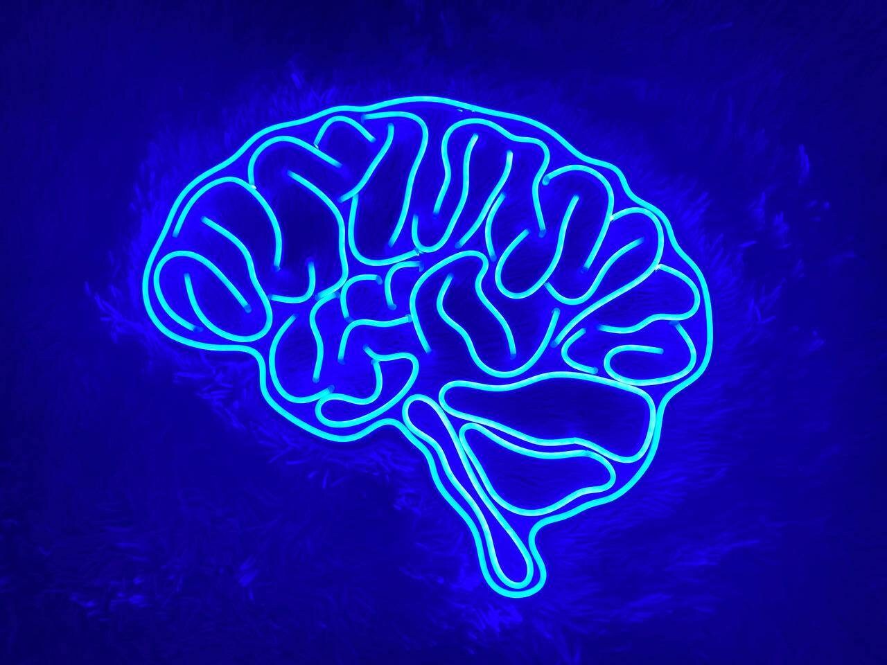 Brain Neon Signs Decor Sign