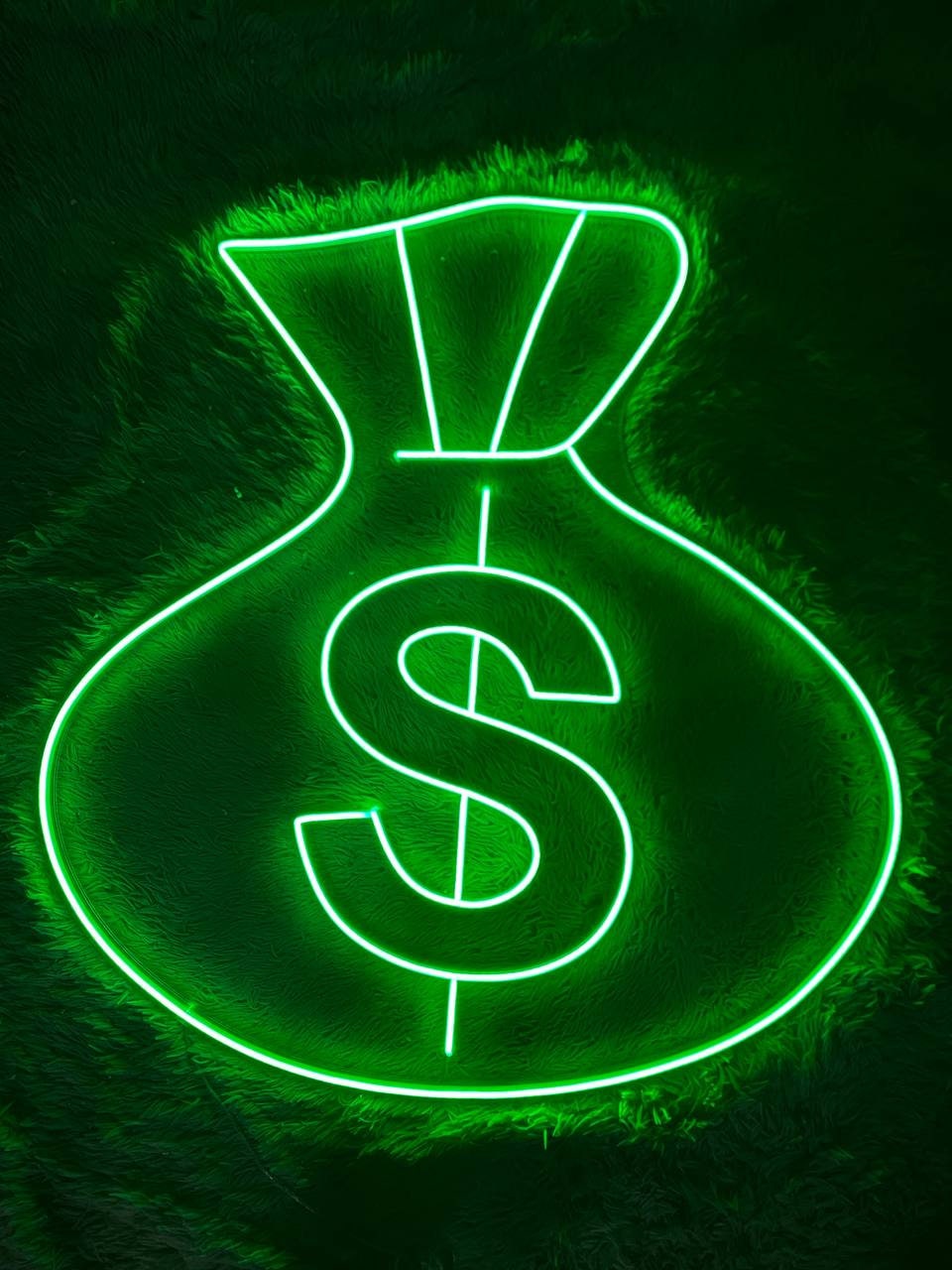 Money Bag Neon Sign