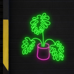 Monstera Leafs Neon Sign