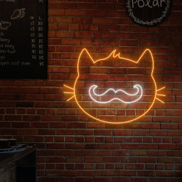 Mustache Cat Neon Sign Funny Cat Wall Art Decor