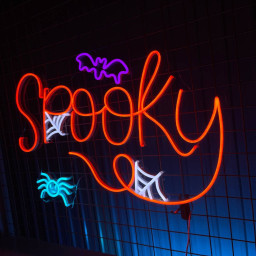 Spooky Neon Signs Halloween Long-lasting Light Decor