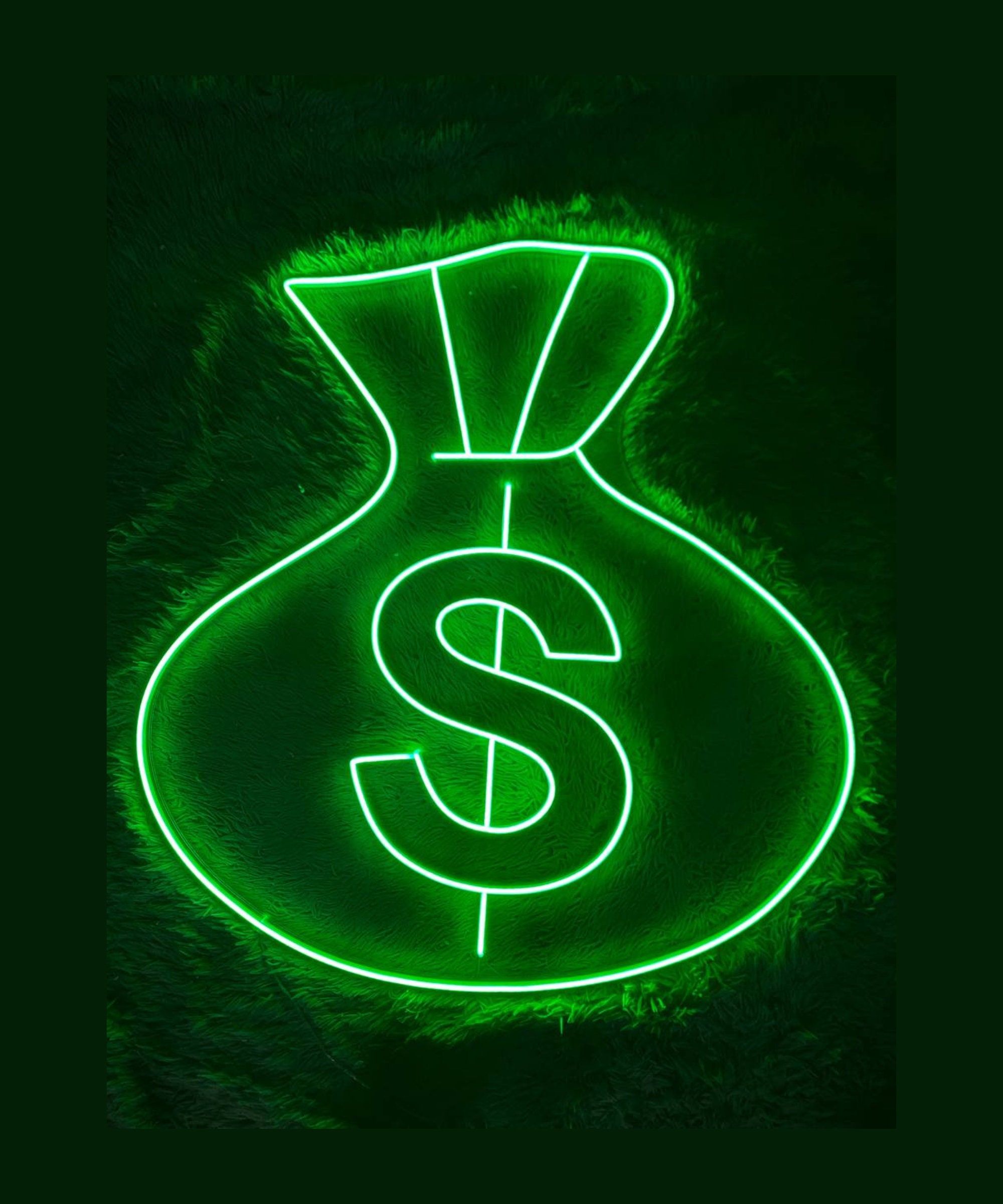 Money Bag Neon Sign