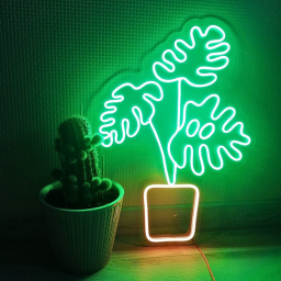 Monsteras Plants Neon Signs Plan Wall Art Decor