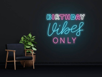 Birthday Vibes Only Neon Sign Birthday Party Decor