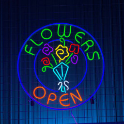 Flowers Open Neon Signboard Flower Plan Shop Entrance Decor