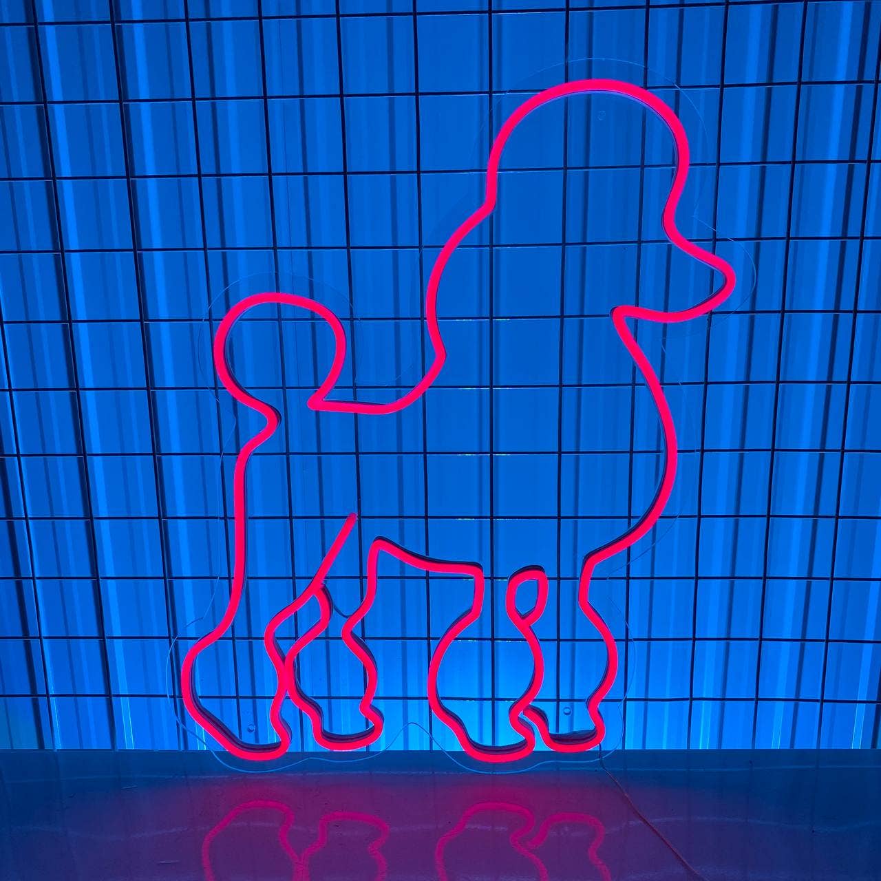 Poodle Dog Neon Sign Vet Pet Shop Salon Wall Decor