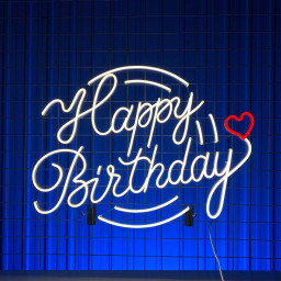 Happy Birthday Heart Neon Sign Birthday Party Decor