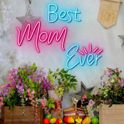 Best Mom Ever Mother's Day Neon Sign