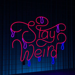 Stay Weird Neon Sign Long-lasting Wall Art Decor