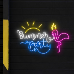 Pink Flamingo Summer Party Neon Sign Decor