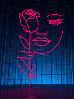 Rosy Girl Neon Sign Boutique Spa Beauty Wall Art Decor