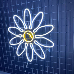 Daisy Flower Neon Sign Decor Plant Flower Shop Decor