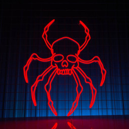 Spider Skull Neon Sign Halloween Party Wall Art Decor