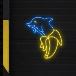 Dolphin Banana Neon Sign Cute Animal Wall Art Decor