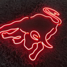 Longhorn Back Bull Neon Sign Western Style Home Decor