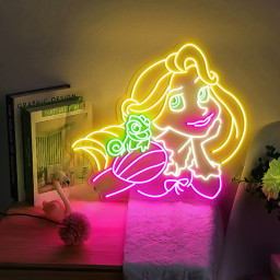 Disney Princess Neon Sign