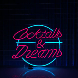 Cocktails And Dream Neon Light Cocktails Bar Wall Decor Art