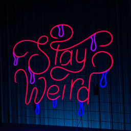 Stay Weird Neon Sign Long-lasting Wall Art Decor