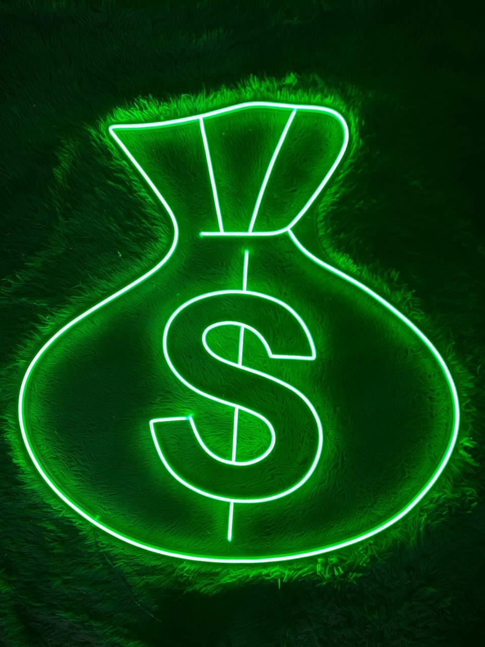 Money Bag Neon Sign