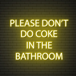 Please Don't Do Coke In The Bathroom Neon Sign