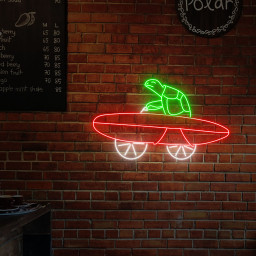 Turtle Skateboarding Neon Sign Skateboard Wall Decor