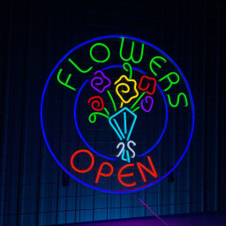 Flowers Open Neon Signboard Flower Plan Shop Entrance Decor