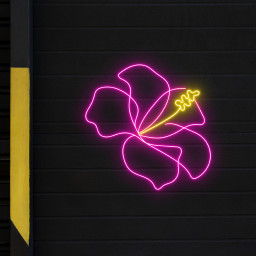 Hibiscus Flower Neon Sign Wall Art Decor