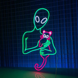 Alien Hugging Cat Neon Sign Alien Cat Led Light Decor