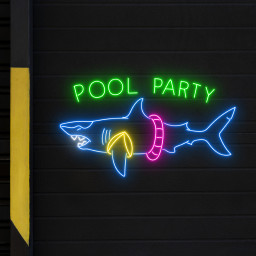 Pool Party With Shark Neon Sign Decor