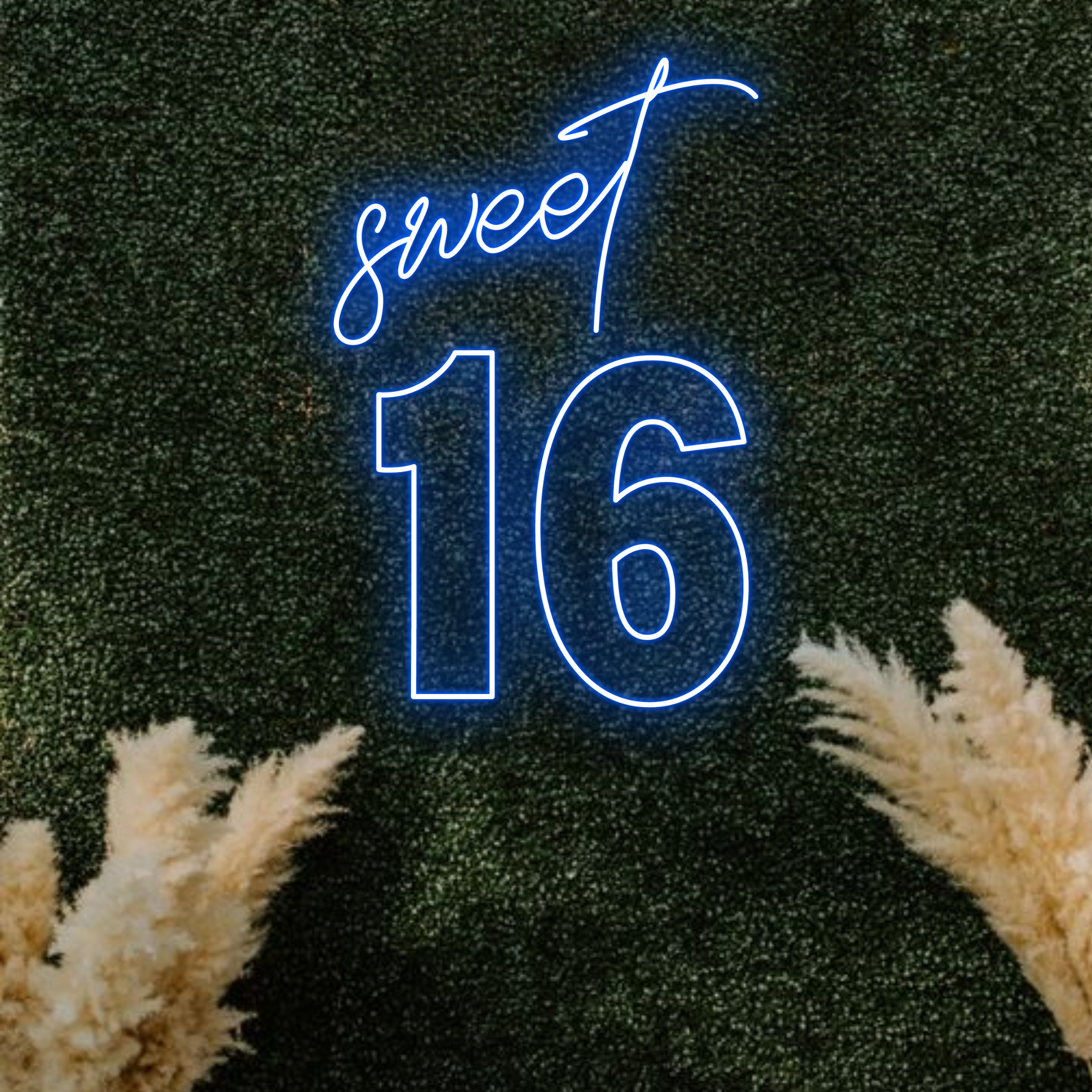 Personalize Sweet 16 Neon Sign Birthday Party Decor