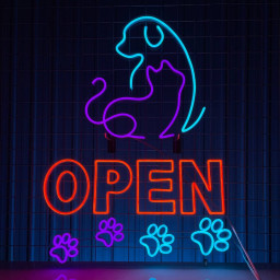 Open Pet Shop Neon Signs Welcome Sign for Pet Salon Vet