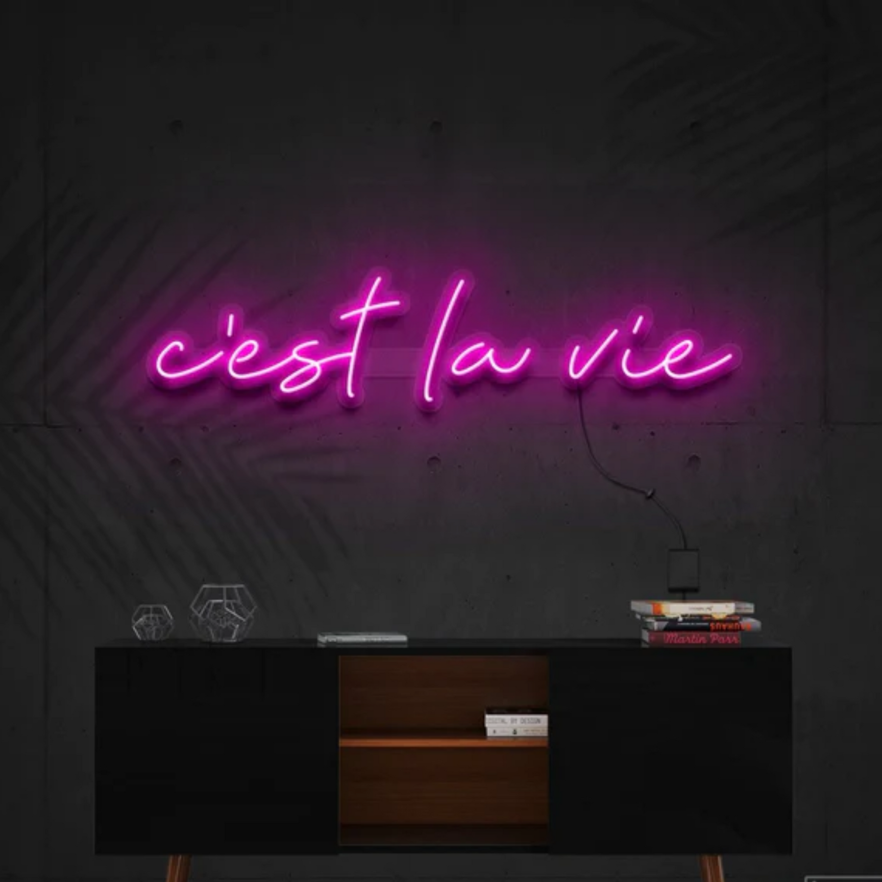 C'est La Vie Neon Sign