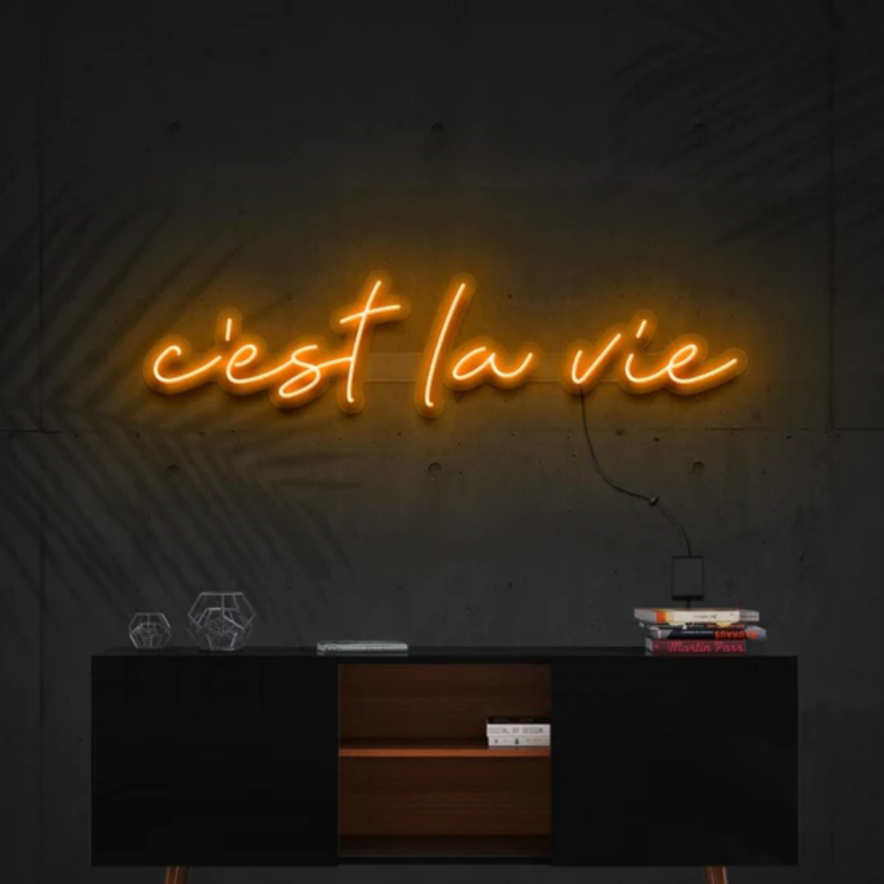 C'est La Vie Neon Sign