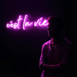 C'est La Vie Neon Sign