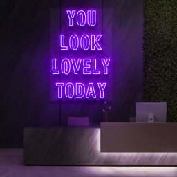 You Look Lovely Today Neon Sign