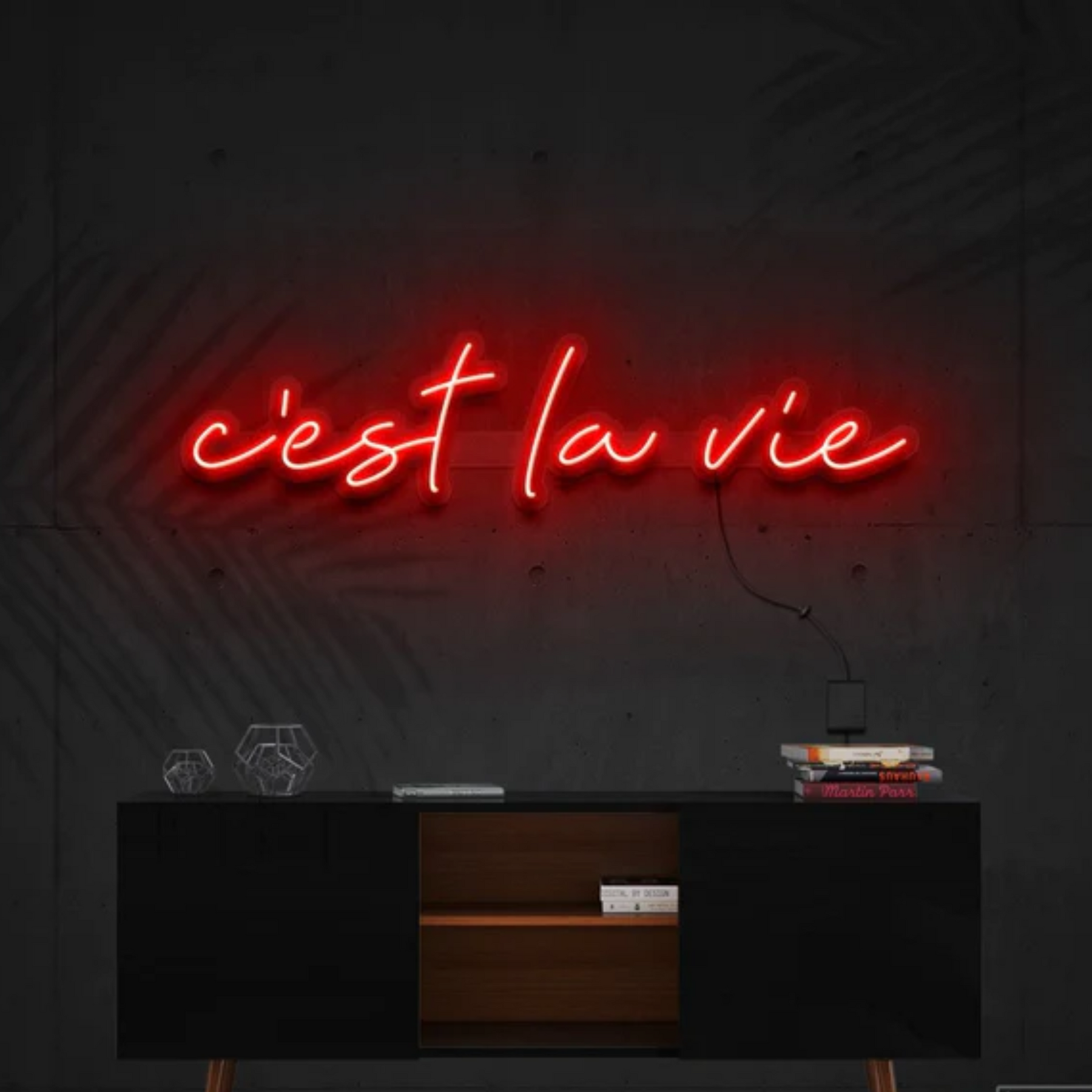 C'est La Vie Neon Sign