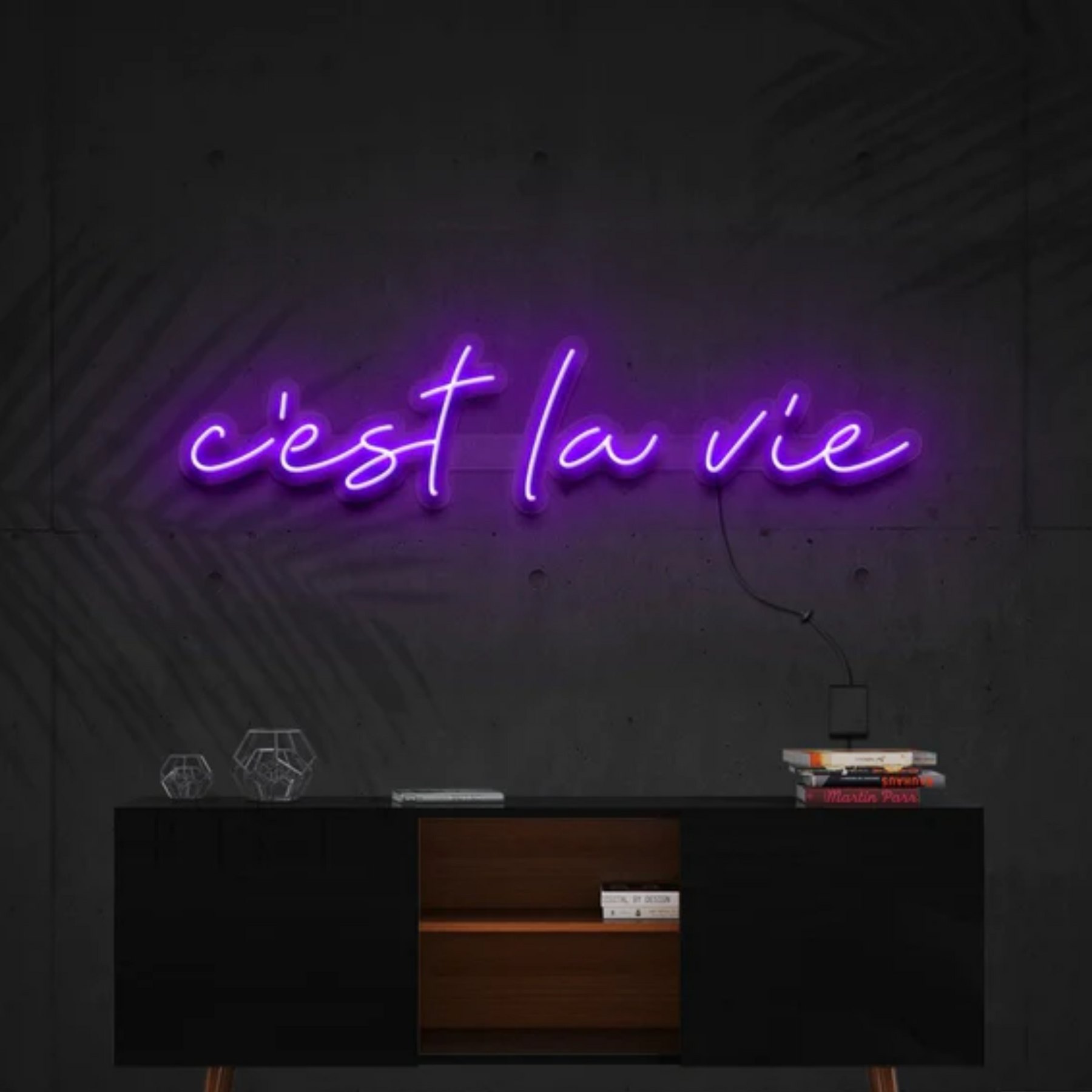 C'est La Vie Neon Sign