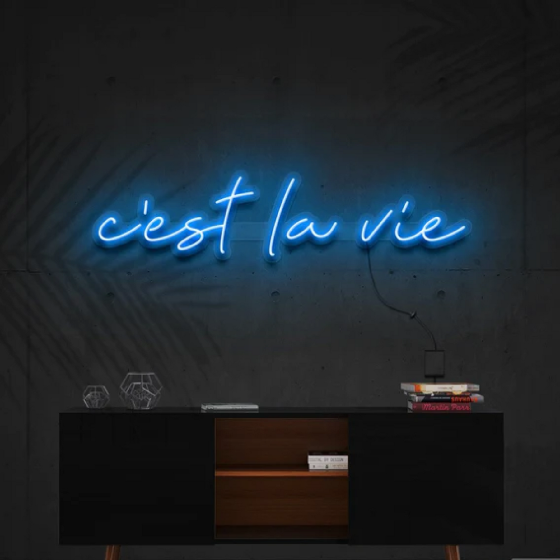 C'est La Vie Neon Sign