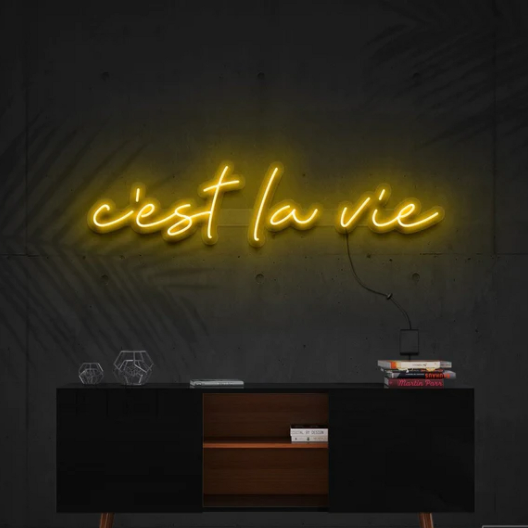 C'est La Vie Neon Sign