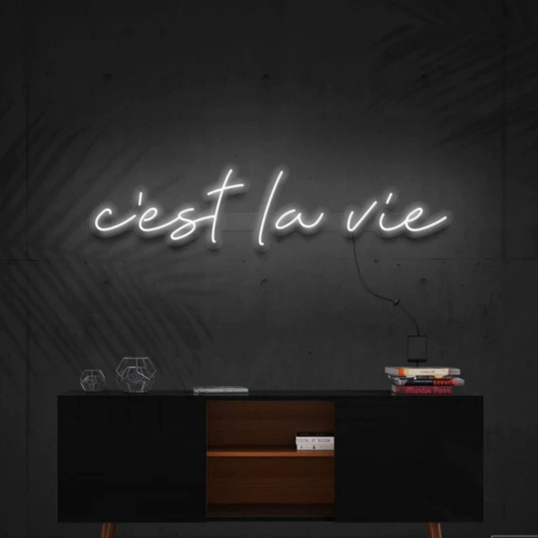 C'est La Vie Neon Sign