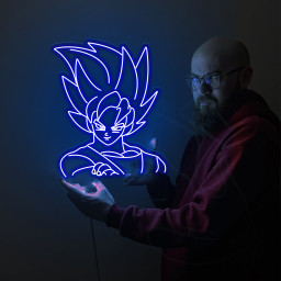 Son Goku Dragon Ball Neon Sign Kids Room Decor