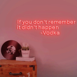 If you don't remember it didn't happen Vodka Custom Neon Sign for Vodka Wall, Vodka Room Personalized Neon Sign, Vodka Red LED Light Source