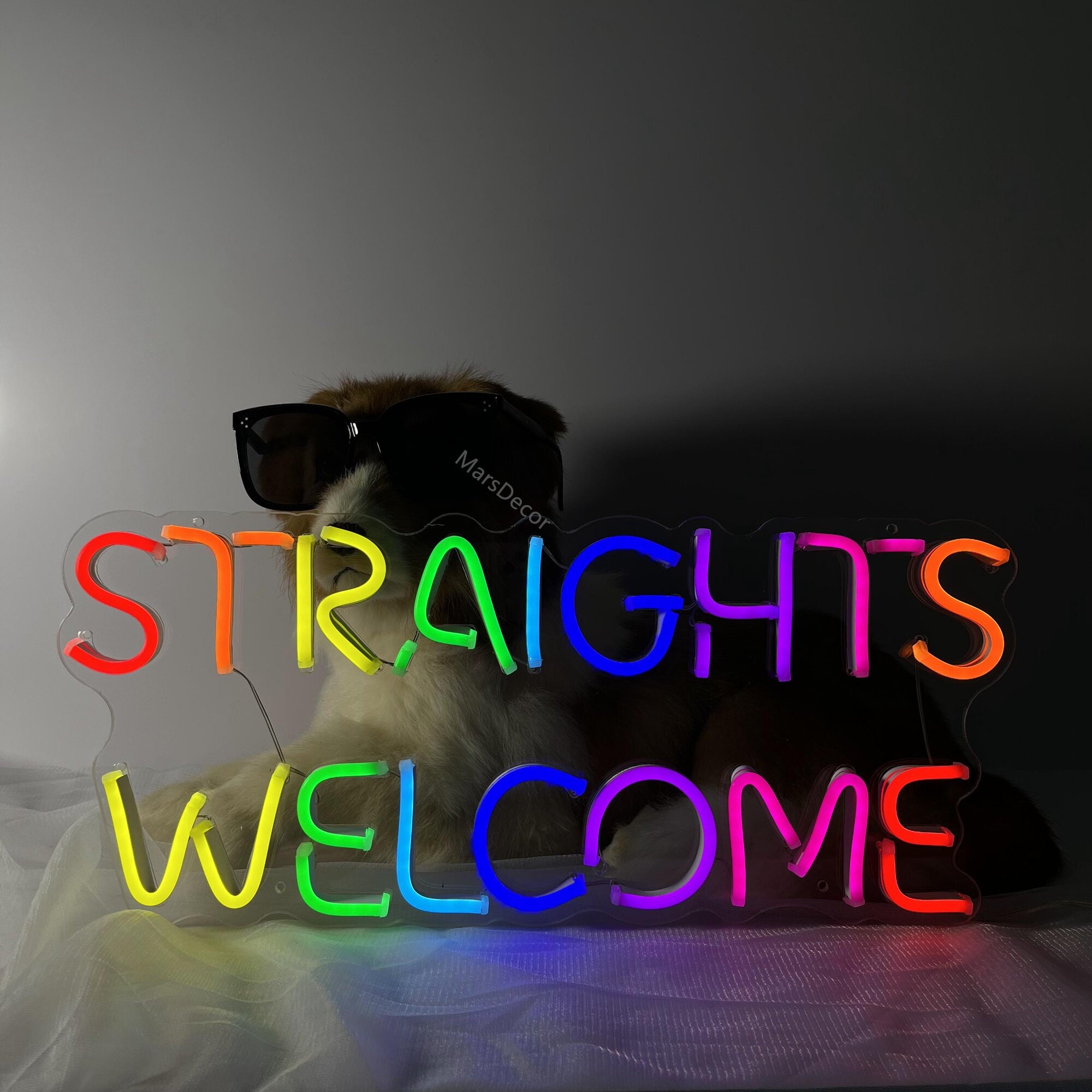 Custom Neon Sign |Welcome Neon Sign | Neon Sign | Led Neon Sign | Neon Name Sign | Neon Sign Wall Decor | Neon Sign Custom | Neon Light Art